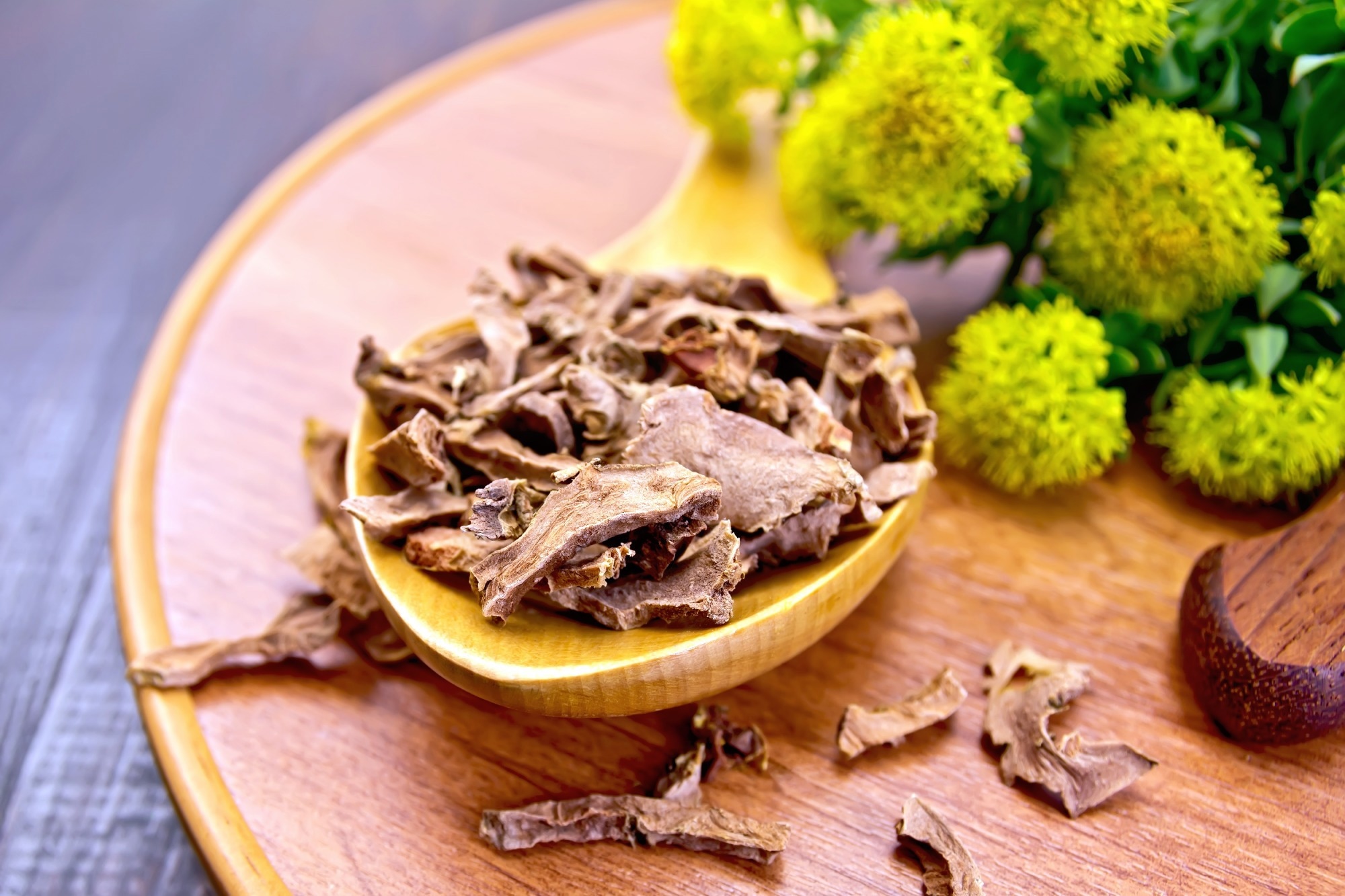 Local Witch Doctor Rhodiola rosea for mental clarity