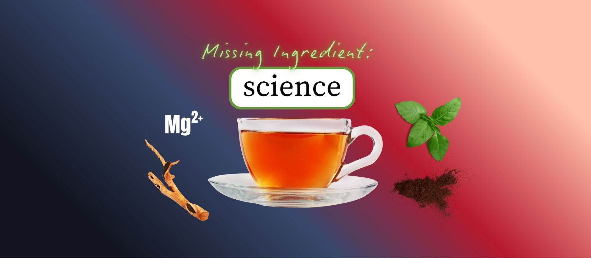 Local Witch Doctor Ashwagandha tea for daily calm