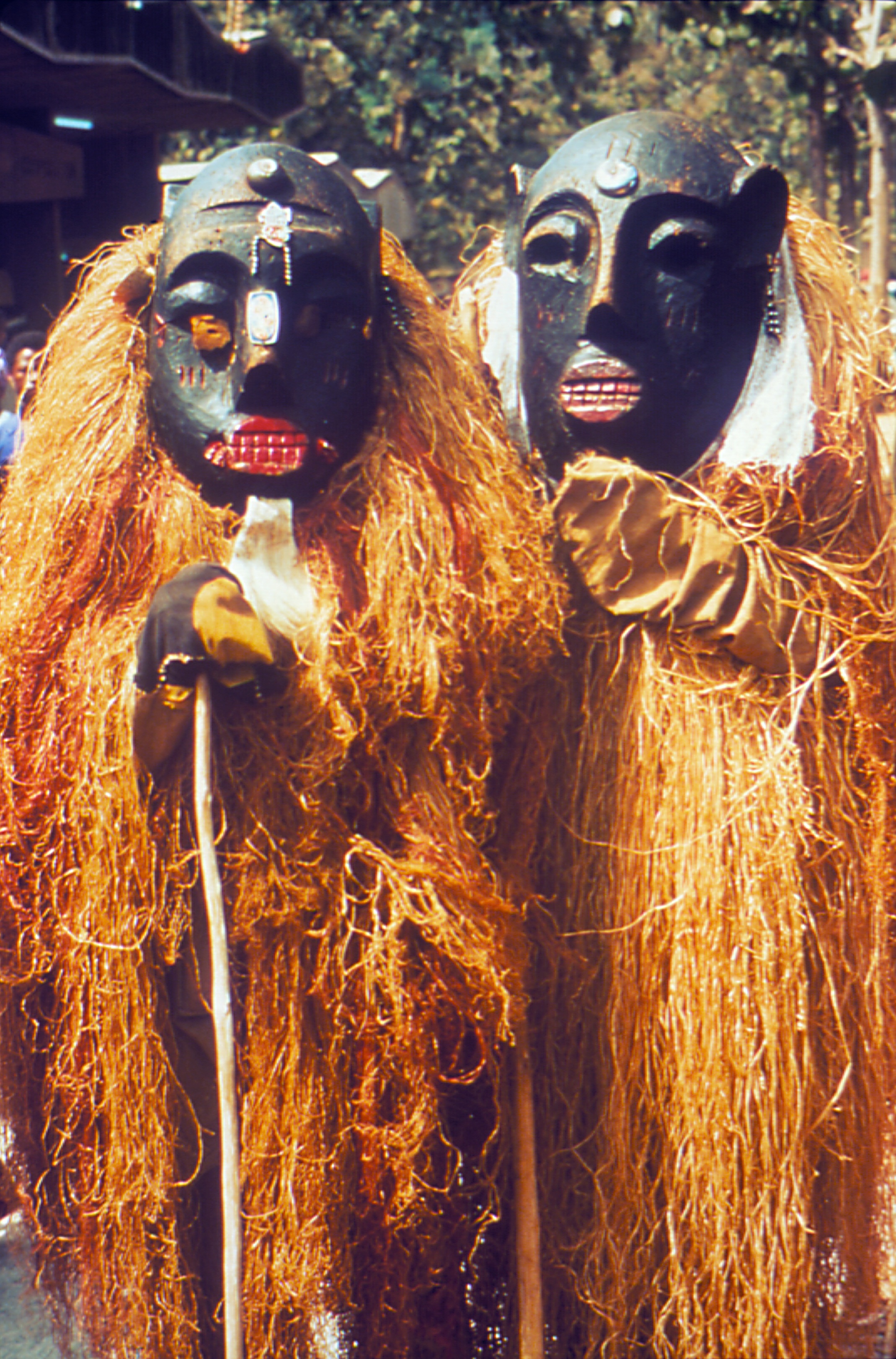 Local Witch Doctor
