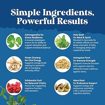 Climate-Resilient Herbs: The Best Adaptogenic Plants for Extreme Weather Stress Relief in 2026