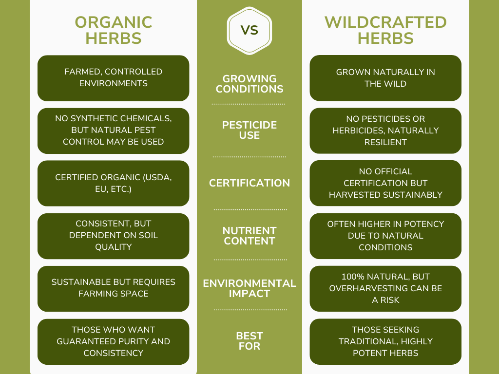 Lab-Grown vs Wild-Harvested: Which Herbs Deliver Better Natural Healing Results in 2026?