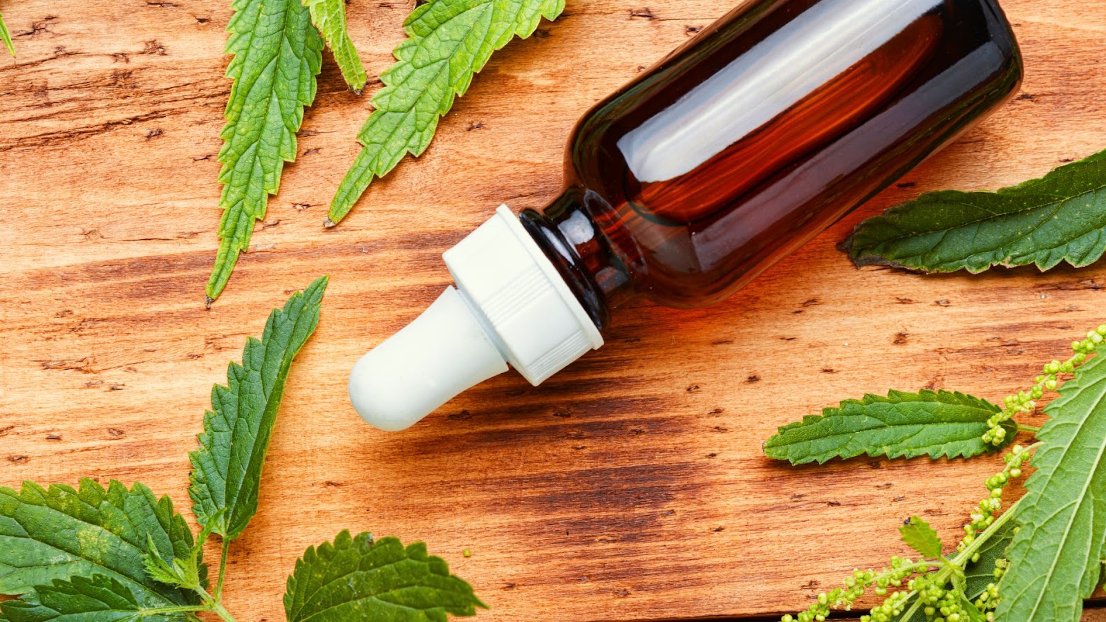 Dark glass tincture bottles with droppers arranged on wooden surface with elderberries, echinacea, and astragalus