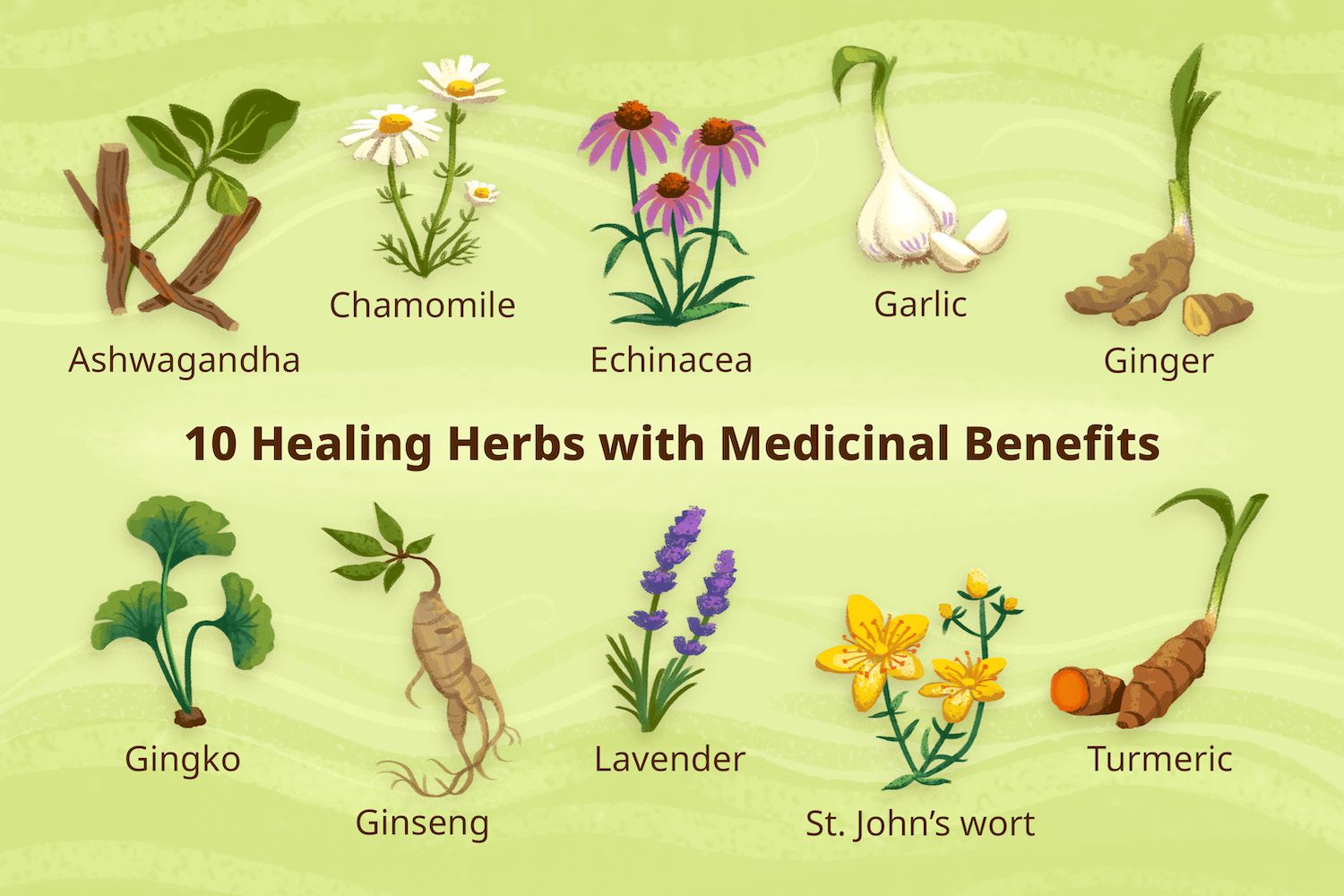 Benefits of Herbs