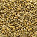 dried chamomile flowers