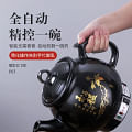 Chinese herbal decoction pot