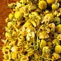 organic dried chamomile flowers