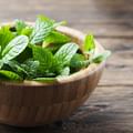 Peppermint Leaf herb