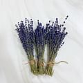 dried lavender flowers