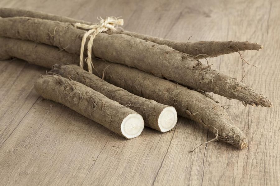 Burdock Root herb benefits