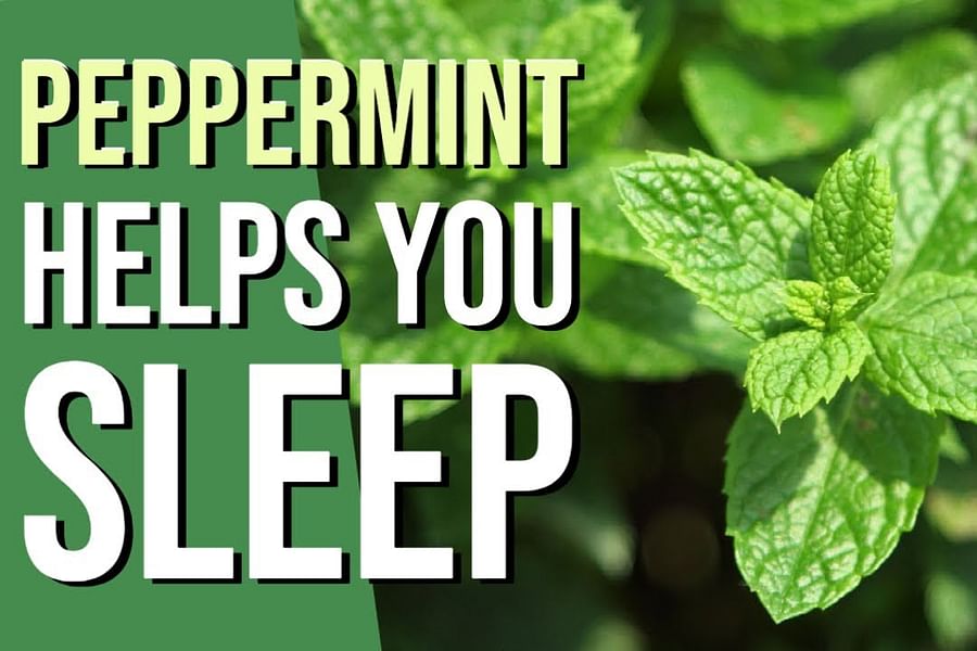 Peppermint herb benefits