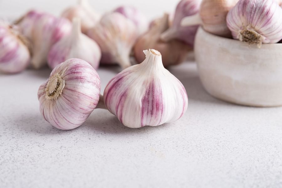 Garlic bulbs