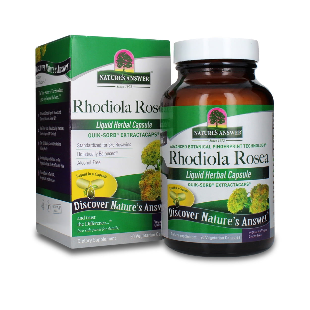 rhodiola rosea in nature