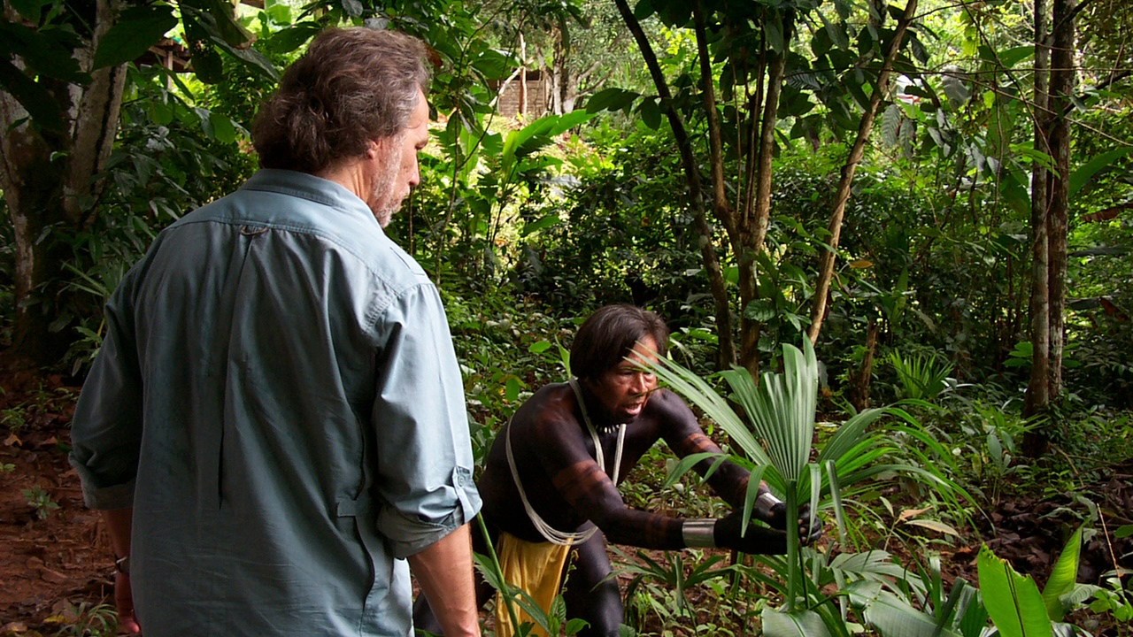 Amazonian ethnobotanical garden