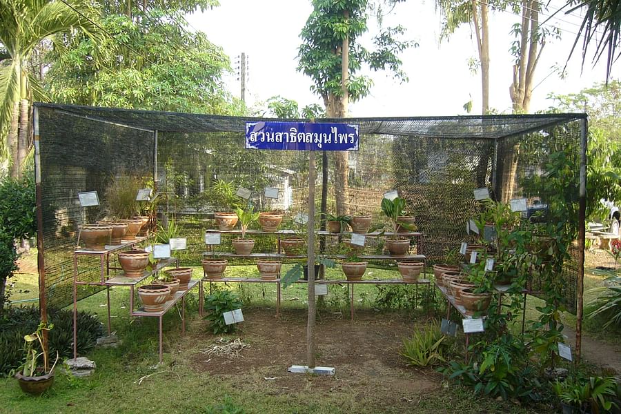 Chinese herbal garden