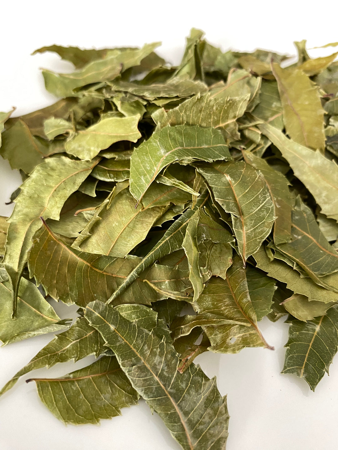 Neem leaves