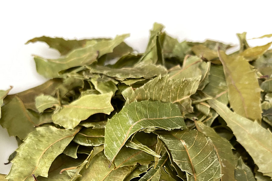 Neem leaves