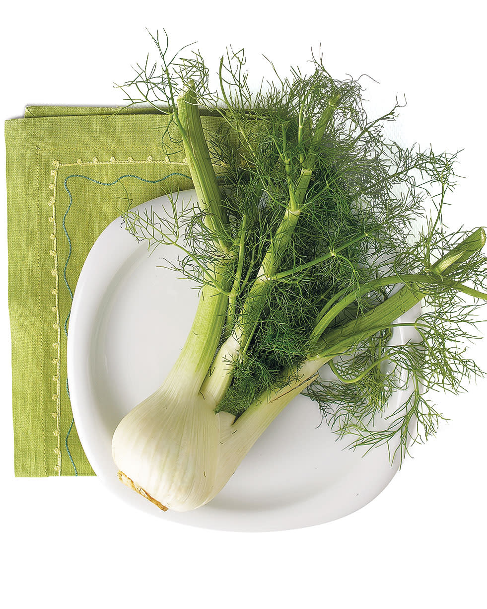 fennel herb