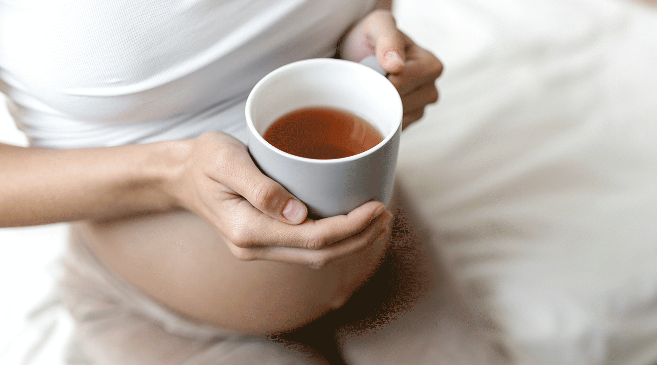 Lemon Balm Tea Pregnancy