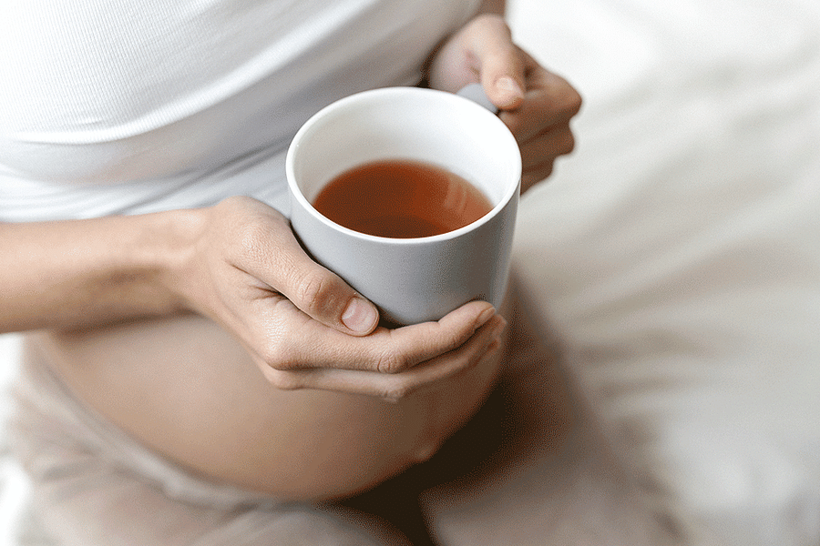 Lemon Balm Tea Pregnancy