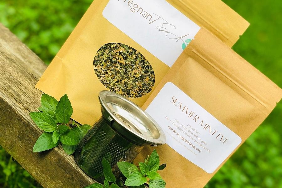 Nettle Tea Pregnancy