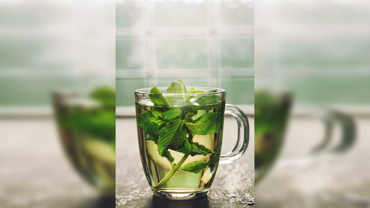 Peppermint Tea Pregnancy