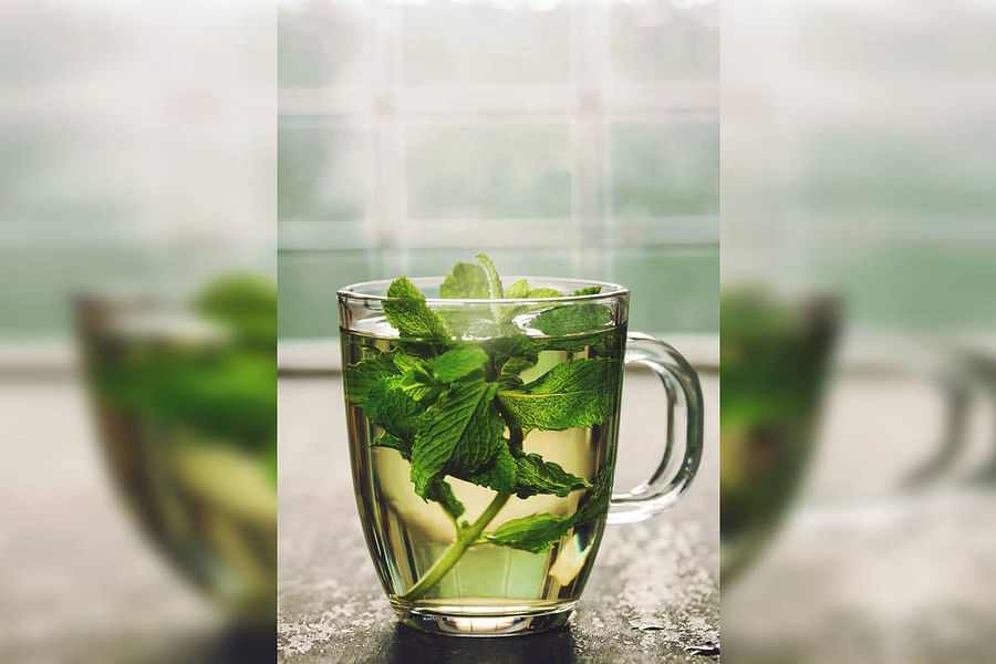 Peppermint Tea Pregnancy