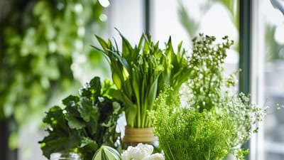 Apigenin Benefits: How This Powerful Plant Compound Can Boost Your Health