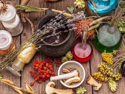 The Best Herbal Alternatives for Common Health Issues