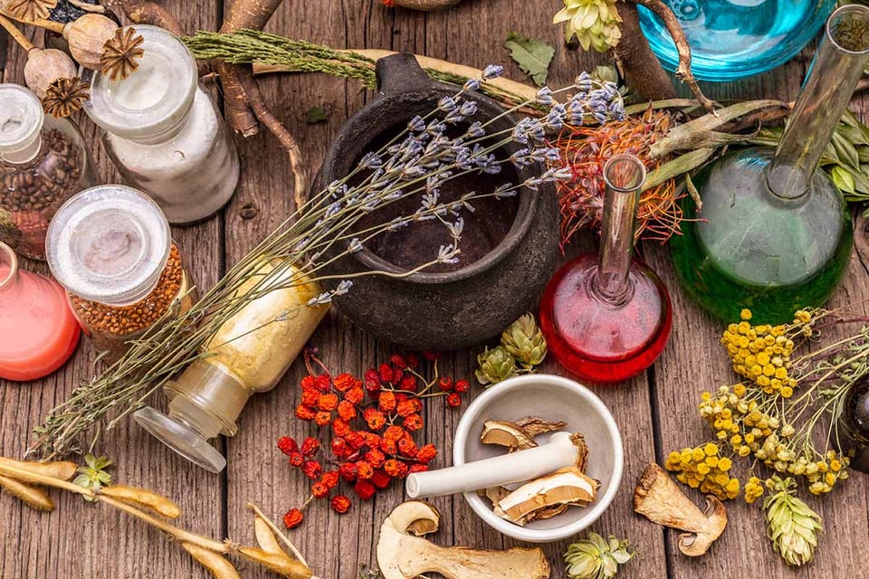 The Best Herbal Alternatives for Common Health Issues